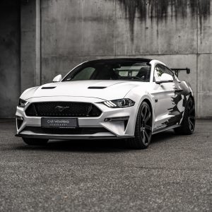 FORD MUSTANG Camo